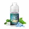 Concentré Abyss Mint 30ml - Epic Frost