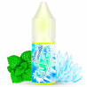 Concentré Icee Mint - Fruizee