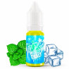 Icee Mint - Salt - Fruizee