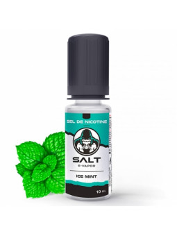 Ice Mint - Salt