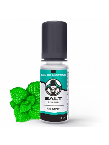 Ice Mint - Salt