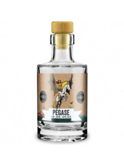 Pégase - Edition Astrale